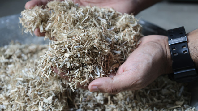 Hempcrete bio-composite material for sustainable interior walls in India